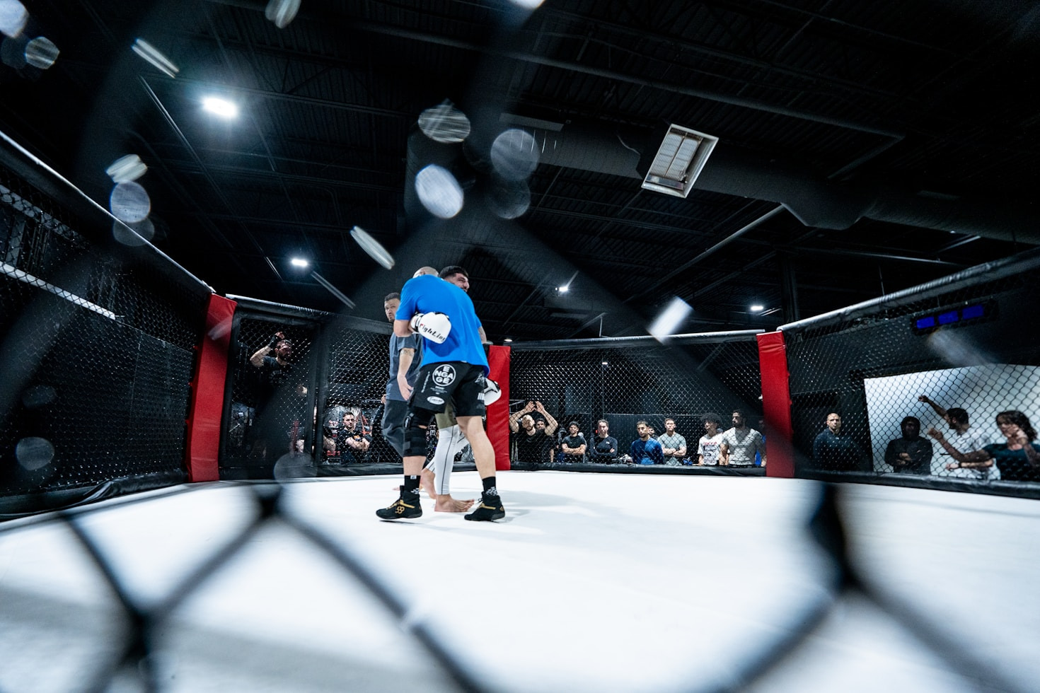 Behind the Bold Design: An MMA Experience